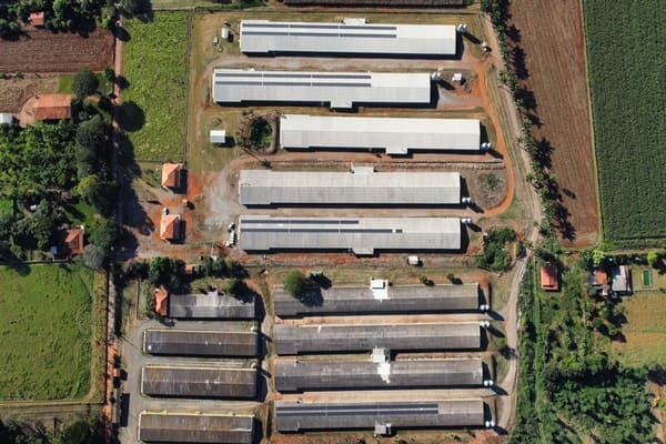 dji_fly_20230518_152456_626_1684501978752_photo_optimized
